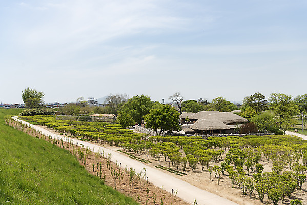 포토 JPG 주간 나무 길 여행 한국건축 유적지 하늘 풍경 사람없음 야외 관광지 봄 문화재 국내여행 명승지 사적지 해미읍성 국내포토 자연요소 식물 계절 건축 고건축 서산 파일형식