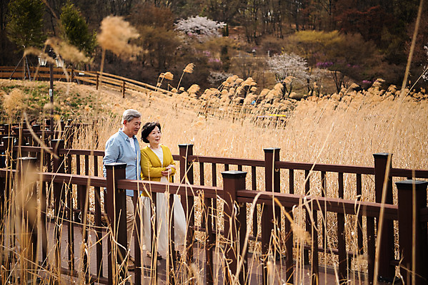 포토 JPG 주간 전신 공원 여자 할아버지 노년 남자 행복 할머니 데이트 야외 두명 앞모습 걷기 노부부 다정 산책 한국인 60대 70대 갈대밭 동반자 노인만 갈대습지 국내포토 자연요소 부부 공공시설 감정 뷰포인트 컨셉 모션 휴식 사람 동양인 성인 습지 성인만 파일형식 갈대_식물