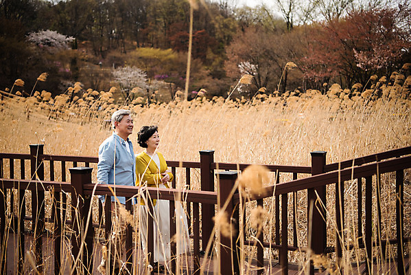 포토 JPG 주간 전신 공원 여자 할아버지 노년 남자 행복 할머니 데이트 야외 두명 옆모습 걷기 노부부 다정 산책 한국인 60대 70대 갈대밭 동반자 노인만 갈대습지 국내포토 자연요소 부부 공공시설 감정 뷰포인트 컨셉 모션 휴식 사람 동양인 성인 습지 성인만 파일형식 갈대_식물
