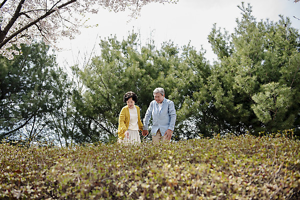 포토 JPG 주간 응시 공원 여자 할아버지 노년 남자 행복 할머니 데이트 서기 상반신 야외 두명 앞모습 손잡기 노부부 다정 봄 산책 한국인 벚꽃 60대 구경 70대 동반자 노인만 국내포토 자연요소 부부 시선 계절 공공시설 꽃 감정 뷰포인트 컨셉 모션 휴식 사람 동양인 성인 성인만 파일형식