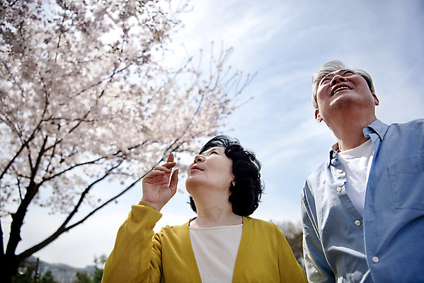 포토 JPG 주간 응시 공원 여자 할아버지 노년 남자 행복 할머니 로우앵글 데이트 서기 상반신 야외 두명 앞모습 노부부 다정 봄 산책 한국인 벚꽃 60대 70대 동반자 노인만 국내포토 자연요소 부부 시선 계절 공공시설 꽃 감정 뷰포인트 컨셉 모션 휴식 사람 동양인 성인 성인만 파일형식