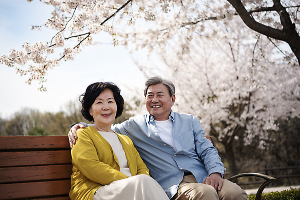 포토 JPG 주간 공원 여자 할아버지 노년 남자 행복 할머니 벤치 데이트 어깨동무 휴식 미소 앉기 상반신 야외 두명 앞모습 노부부 다정 봄 산책 한국인 벚꽃 60대 70대 동반자 노인만 국내포토 자연요소 부부 계절 공공시설 꽃 감정 뷰포인트 포즈 컨셉 의자 모션 표정 사람 동양인 성인 성인만 파일형식