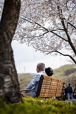 포토 JPG 주간 응시 공원 여자 할아버지 노년 남자 행복 할머니 벤치 데이트 휴식 앉기 상반신 야외 두명 뒷모습 노부부 다정 봄 산책 한국인 벚꽃 60대 70대 동반자 노인만 국내포토 자연요소 부부 시선 계절 공공시설 꽃 감정 뷰포인트 컨셉 의자 모션 사람 동양인 성인 성인만 파일형식