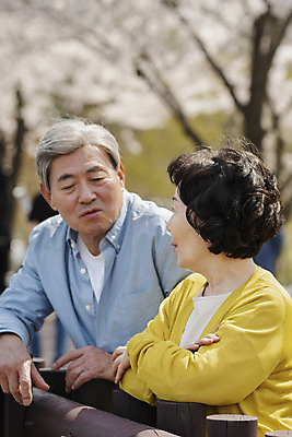 포토 JPG 주간 공원 여자 할아버지 노년 남자 행복 할머니 데이트 대화 서기 상반신 야외 두명 옆모습 노부부 다정 봄 산책 한국인 벚꽃 60대 70대 동반자 노인만 국내포토 자연요소 부부 계절 공공시설 꽃 감정 뷰포인트 컨셉 모션 휴식 말하기 사람 동양인 성인 성인만 파일형식