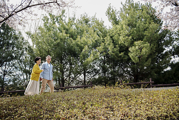 포토 JPG 주간 전신 공원 여자 할아버지 노년 남자 행복 할머니 데이트 야외 두명 옆모습 걷기 노부부 다정 봄 산책 한국인 벚꽃 60대 70대 동반자 노인만 국내포토 자연요소 부부 계절 공공시설 꽃 감정 뷰포인트 컨셉 모션 휴식 사람 동양인 성인 성인만 파일형식