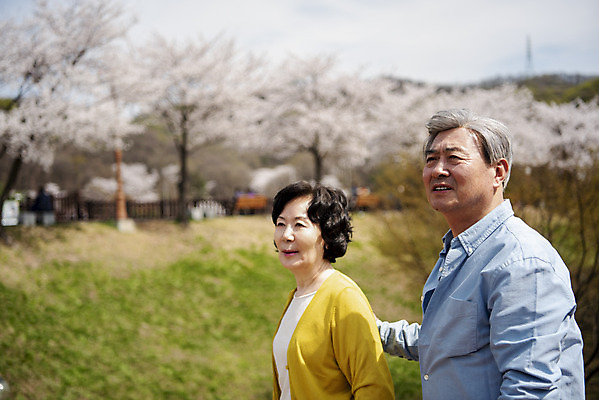 포토 JPG 주간 응시 공원 여자 할아버지 노년 남자 행복 할머니 데이트 상반신 야외 두명 옆모습 걷기 노부부 다정 봄 산책 한국인 벚꽃 60대 70대 동반자 노인만 국내포토 자연요소 부부 시선 계절 공공시설 꽃 감정 뷰포인트 컨셉 모션 휴식 사람 동양인 성인 성인만 파일형식