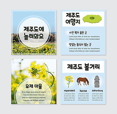 PSD 템플릿 섬 여행 웹템플릿 하늘색 사람없음 제주도 말_동물 돌하르방 유채 유채밭 제주도여행 카드뉴스 이미지템플릿 꽃 밭 포유류 한국 파란색 파일형식