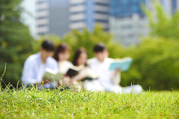 포토 JPG 주간 전신 공원 여자 교육 남자 대학생 대학생라이프 휴식 미소 앉기 잔디 여러명 20대 청년 성인 야외 옆모습 아웃포커스 책 친구 청춘 독서 캠퍼스라이프 우정 한국인 즐거움 대학교 성인만 국내포토 자연요소 식물 학생 라이프스타일 공공시설 감정 뷰포인트 다수 컨셉 학교 관계 모션 촬영기법 표정 사람 동양인 파일형식