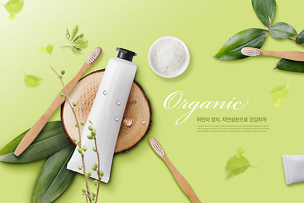 PSD 나무 편집이미지 교육 잎 자연 나뭇잎 사람없음 초록색 양치 칫솔 유기농 소금 치약 에듀 에듀케이션 치아건강 카피스페이스 스쿨팩 이미지편집 식물 웰빙 컬러 건강 위생용품 청결 공백 생태계 파일형식