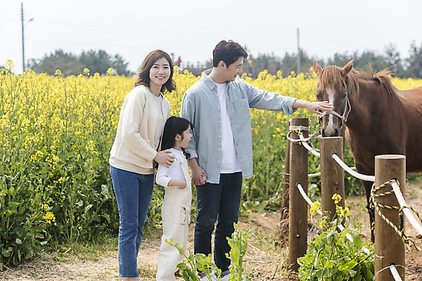 포토 JPG 주간 전신 한마리 응시 여자 남자 딸 행복 어린이 가족 엄마 가족여행 미소 성인 야외 앞모습 옆모습 세명 30대 제주도 맑음 화목 봄 만지기 한국인 가족라이프 말_동물 체험 아빠 핵가족 즐거움 유채 봄여행 유채밭 표선면 국내포토 자연요소 1 라이프스타일 시선 계절 꽃 감정 뷰포인트 여행 컨셉 밭 포유류 관계 모션 날씨 한국 표정 사람 동양인 장년 서귀포 파일형식