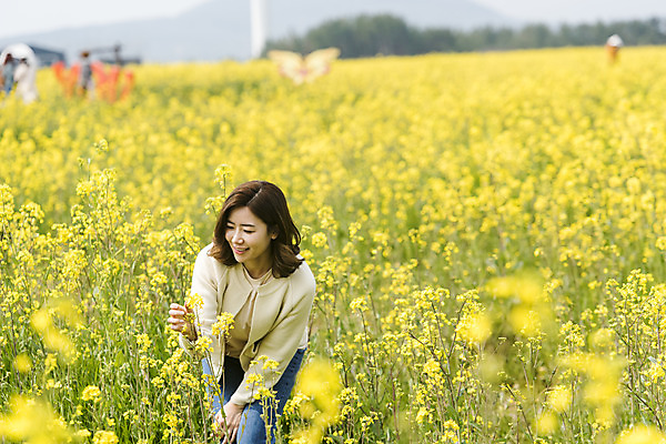 포토 JPG 주간 응시 여자 행복 가족여행 한명 서기 미소 상반신 성인 야외 앞모습 30대 제주도 맑음 화목 봄 한국인 즐거움 유채 봄여행 유채밭 표선면 성인여자한명만 국내포토 자연요소 1 시선 계절 꽃 감정 뷰포인트 여행 컨셉 밭 모션 날씨 한국 표정 사람 동양인 장년 서귀포 여자한명만 성인여자만 파일형식