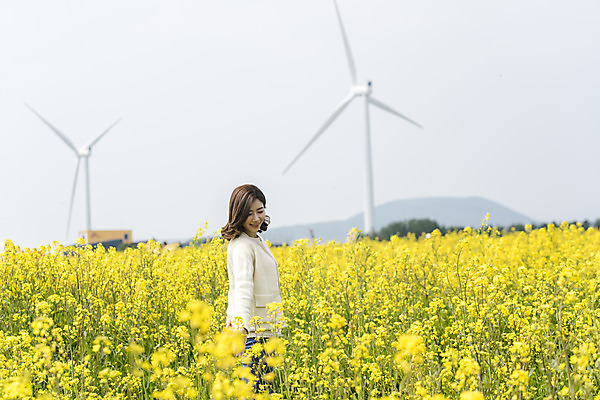 포토 JPG 주간 응시 여자 행복 가족여행 한명 서기 미소 상반신 성인 야외 옆모습 30대 제주도 맑음 화목 봄 한국인 풍력에너지 즐거움 유채 봄여행 유채밭 표선면 성인여자한명만 국내포토 자연요소 1 시선 계절 꽃 감정 뷰포인트 여행 컨셉 밭 모션 날씨 한국 표정 사람 동양인 장년 그린에너지 서귀포 여자한명만 성인여자만 파일형식