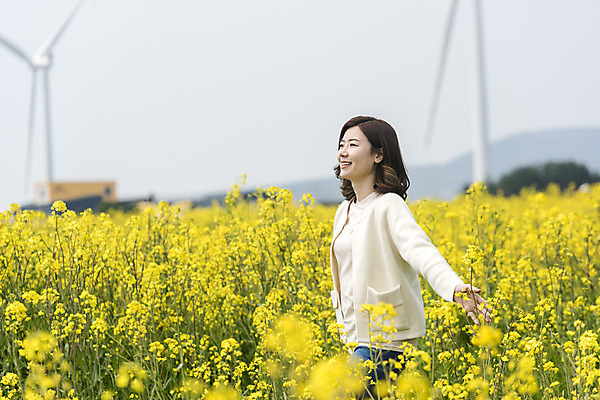 포토 JPG 주간 응시 여자 행복 가족여행 한명 서기 미소 상반신 성인 야외 옆모습 30대 제주도 맑음 화목 봄 만지기 한국인 풍력에너지 즐거움 유채 봄여행 유채밭 표선면 성인여자한명만 국내포토 자연요소 1 시선 계절 꽃 감정 뷰포인트 여행 컨셉 밭 모션 날씨 한국 표정 사람 동양인 장년 그린에너지 서귀포 여자한명만 성인여자만 파일형식