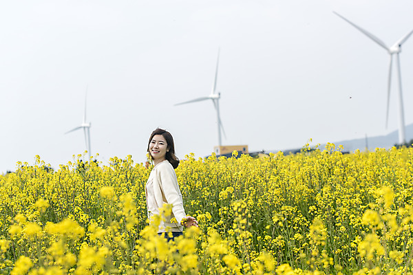 포토 JPG 주간 여자 행복 가족여행 한명 서기 미소 상반신 성인 야외 옆모습 30대 제주도 맑음 화목 봄 한국인 풍력에너지 즐거움 유채 봄여행 유채밭 표선면 성인여자한명만 국내포토 자연요소 1 계절 꽃 감정 뷰포인트 여행 컨셉 밭 모션 날씨 한국 표정 사람 동양인 장년 그린에너지 서귀포 여자한명만 성인여자만 파일형식
