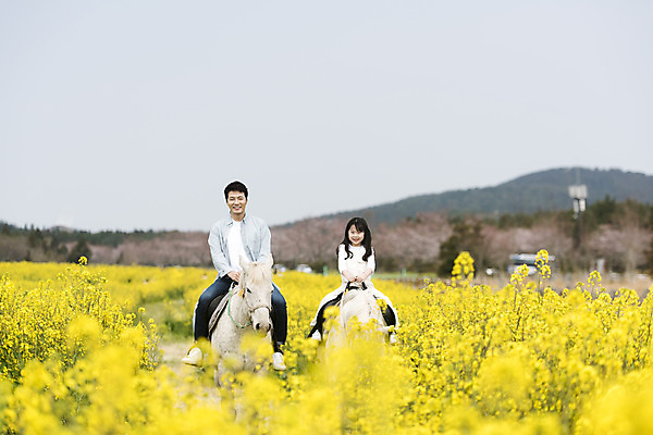 포토 JPG 주간 전신 여자 남자 딸 행복 어린이 두마리 가족 가족여행 미소 성인 야외 두명 앞모습 30대 제주도 맑음 화목 봄 한국인 가족라이프 말_동물 체험 아빠 핵가족 즐거움 유채 봄여행 유채밭 표선면 부녀 국내포토 자연요소 라이프스타일 계절 꽃 감정 뷰포인트 여행 컨셉 2 밭 포유류 관계 날씨 한국 표정 사람 동양인 장년 서귀포 파일형식