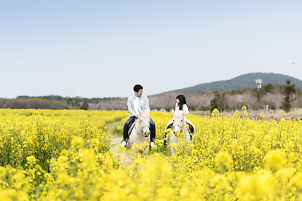 포토 JPG 주간 전신 여자 남자 딸 행복 어린이 두마리 가족 가족여행 미소 성인 야외 두명 앞모습 30대 제주도 마주보기 맑음 화목 봄 한국인 가족라이프 말_동물 체험 아빠 핵가족 즐거움 유채 봄여행 유채밭 표선면 부녀 국내포토 자연요소 라이프스타일 계절 꽃 감정 뷰포인트 여행 컨셉 2 밭 포유류 관계 모션 날씨 한국 표정 사람 동양인 장년 서귀포 파일형식