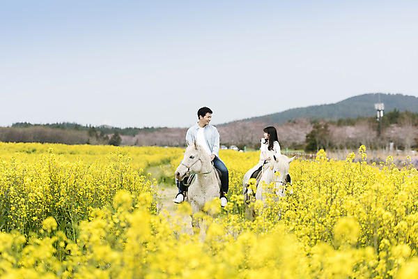 포토 JPG 주간 전신 여자 남자 딸 행복 어린이 두마리 가족 가족여행 미소 성인 야외 두명 앞모습 30대 제주도 마주보기 맑음 화목 봄 한국인 가족라이프 말_동물 체험 아빠 핵가족 즐거움 유채 봄여행 유채밭 표선면 부녀 국내포토 자연요소 라이프스타일 계절 꽃 감정 뷰포인트 여행 컨셉 2 밭 포유류 관계 모션 날씨 한국 표정 사람 동양인 장년 서귀포 파일형식