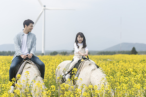 포토 JPG 주간 전신 여자 남자 딸 행복 어린이 두마리 가족 가족여행 미소 성인 야외 두명 앞모습 30대 제주도 맑음 화목 봄 한국인 가족라이프 말_동물 체험 아빠 핵가족 즐거움 유채 봄여행 유채밭 표선면 부녀 국내포토 자연요소 라이프스타일 계절 꽃 감정 뷰포인트 여행 컨셉 2 밭 포유류 관계 날씨 한국 표정 사람 동양인 장년 서귀포 파일형식