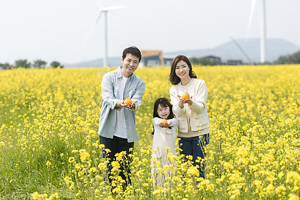 포토 JPG 주간 여자 남자 딸 행복 어린이 가족 엄마 가족여행 서기 미소 들기 상반신 성인 야외 앞모습 세명 30대 제주도 맑음 화목 봄 한국인 가족라이프 아빠 핵가족 즐거움 유채 한라봉 봄여행 유채밭 표선면 국내포토 자연요소 라이프스타일 계절 꽃 감정 뷰포인트 여행 컨셉 밭 과일 관계 모션 날씨 한국 표정 사람 동양인 장년 서귀포 파일형식