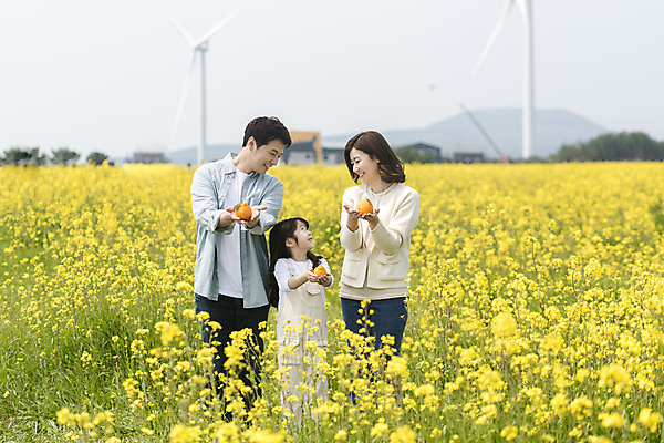 포토 JPG 주간 여자 남자 딸 행복 어린이 가족 엄마 가족여행 서기 미소 들기 상반신 성인 야외 앞모습 세명 30대 제주도 맑음 화목 봄 한국인 가족라이프 아빠 핵가족 즐거움 유채 한라봉 봄여행 유채밭 표선면 국내포토 자연요소 라이프스타일 계절 꽃 감정 뷰포인트 여행 컨셉 밭 과일 관계 모션 날씨 한국 표정 사람 동양인 장년 서귀포 파일형식