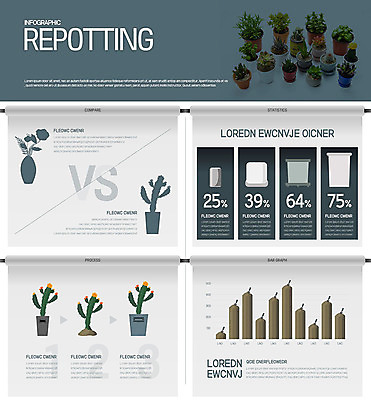 식물 화분 일러스트 그래프 선인장 취미 사람없음 인포그래픽 원예 다육식물 분갈이 국내일러스트 AI파일 파일형식 벡터