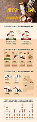 지도 일러스트 그래프 요리 사람없음 갈색 버섯 인포그래픽 지역 버섯요리 분포 생산지 국내일러스트 AI파일 음식 컬러 파일형식 벡터