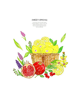 PSD 과일 일러스트 수채화 사람없음 노란색 바구니 봄 레몬 석류 라벤더 국내일러스트 계절 꽃 컬러 허브 파일형식