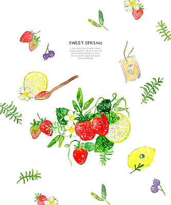 PSD 과일 일러스트 딸기 수채화 사람없음 빨간색 봄 레몬 허브 과일청 국내일러스트 식물 계절 음식 컬러 파일형식