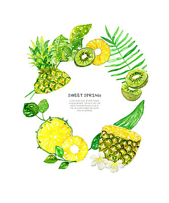 PSD 식물 잎 과일 일러스트 수채화 키위 사람없음 노란색 봄 허브 파인애플 국내일러스트 계절 컬러 열대과일 파일형식