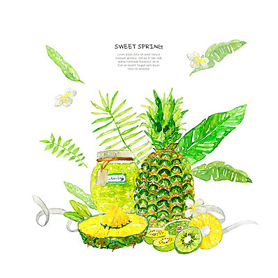 PSD 식물 잎 과일 일러스트 수채화 키위 사람없음 노란색 봄 허브 파인애플 국내일러스트 계절 컬러 열대과일 파일형식