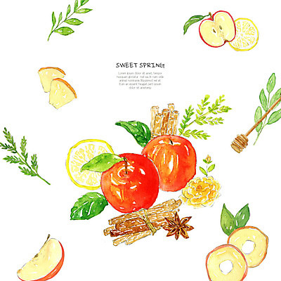PSD 잎 과일 일러스트 수채화 사람없음 빨간색 장미 봄 사과 허브 시나몬 국내일러스트 식물 계절 꽃 컬러 파일형식