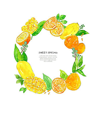 PSD 잎 오렌지 과일 일러스트 수채화 사람없음 주황색 봄 허브 망고 국내일러스트 식물 계절 컬러 열대과일 파일형식