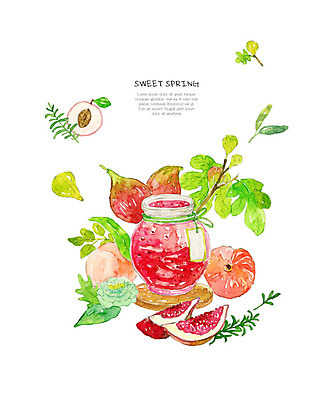 PSD 분홍색 과일 일러스트 수채화 사람없음 봄 복숭아 무화과 작약 복숭아청 제철과일 국내일러스트 계절 꽃 컬러 제철 파일형식 과일청