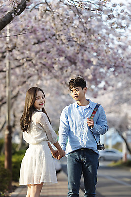포토 JPG 주간 커플 여자 남자 행복 커플라이프 여행 데이트 사랑 서기 미소 사람 상반신 20대 성인 야외 두명 앞모습 뒷모습 30대 제주도 손잡기 맑음 다정 봄 한국인 벚꽃 뒤돌아보기 국내여행 벚꽃축제 제주도여행 성인만 국내포토 자연요소 라이프스타일 계절 꽃 감정 뷰포인트 컨셉 관계 모션 날씨 한국 표정 동양인 청년 장년 축제 꽃축제 파일형식
