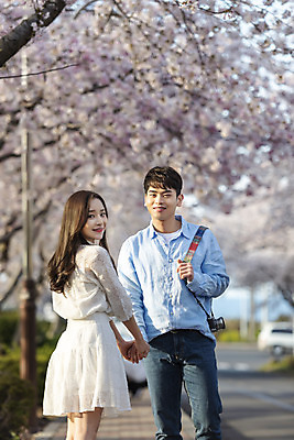 포토 JPG 주간 커플 여자 남자 행복 커플라이프 여행 데이트 사랑 서기 미소 사람 상반신 20대 성인 야외 두명 앞모습 뒷모습 30대 제주도 손잡기 맑음 다정 봄 한국인 벚꽃 뒤돌아보기 국내여행 벚꽃축제 제주도여행 성인만 국내포토 자연요소 라이프스타일 계절 꽃 감정 뷰포인트 컨셉 관계 모션 날씨 한국 표정 동양인 청년 장년 축제 꽃축제 파일형식