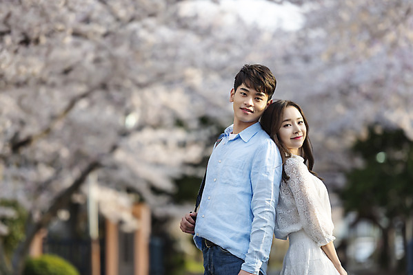 포토 JPG 주간 커플 여자 남자 행복 커플라이프 여행 데이트 사랑 서기 미소 사람 상반신 20대 성인 야외 두명 옆모습 30대 제주도 맑음 다정 봄 한국인 벚꽃 등맞대기 국내여행 벚꽃축제 제주도여행 성인만 국내포토 자연요소 라이프스타일 계절 꽃 감정 뷰포인트 컨셉 관계 모션 날씨 한국 표정 동양인 청년 장년 축제 꽃축제 파일형식