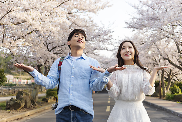 포토 JPG 주간 커플 여자 남자 행복 커플라이프 여행 데이트 사랑 서기 미소 사람 손짓 상반신 20대 성인 야외 두명 앞모습 30대 제주도 맑음 다정 봄 한국인 올려보기 벚꽃 국내여행 벚꽃축제 제주도여행 성인만 국내포토 자연요소 라이프스타일 계절 꽃 감정 뷰포인트 컨셉 관계 모션 날씨 한국 표정 동양인 청년 장년 축제 꽃축제 파일형식