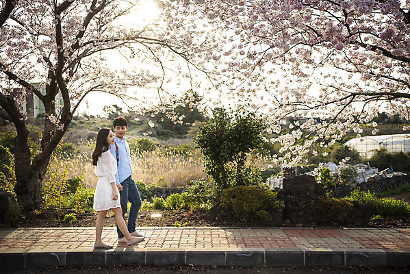포토 JPG 주간 전신 커플 여자 남자 행복 커플라이프 여행 데이트 사랑 미소 사람 20대 성인 야외 두명 옆모습 30대 제주도 걷기 맑음 다정 봄 한국인 벚꽃 국내여행 벚꽃축제 제주도여행 성인만 국내포토 자연요소 라이프스타일 계절 꽃 감정 뷰포인트 컨셉 관계 모션 날씨 한국 표정 동양인 청년 장년 축제 꽃축제 파일형식