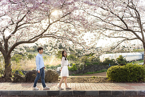 포토 JPG 주간 전신 커플 여자 남자 행복 커플라이프 여행 데이트 사랑 미소 사람 20대 성인 야외 두명 옆모습 30대 제주도 걷기 맑음 다정 봄 한국인 벚꽃 국내여행 벚꽃축제 제주도여행 성인만 국내포토 자연요소 라이프스타일 계절 꽃 감정 뷰포인트 컨셉 관계 모션 날씨 한국 표정 동양인 청년 장년 축제 꽃축제 파일형식