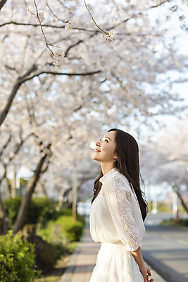 포토 JPG 주간 우먼라이프 응시 여자 행복 여행 한명 서기 미소 상반신 20대 성인 야외 옆모습 제주도 맑음 봄 감상 한국인 올려보기 벚꽃 즐거움 국내여행 벚꽃축제 제주도여행 성인여자한명만 국내포토 자연요소 1 라이프스타일 시선 계절 꽃 감정 뷰포인트 모션 날씨 한국 표정 사람 동양인 청년 축제 꽃축제 여자한명만 성인여자만 파일형식