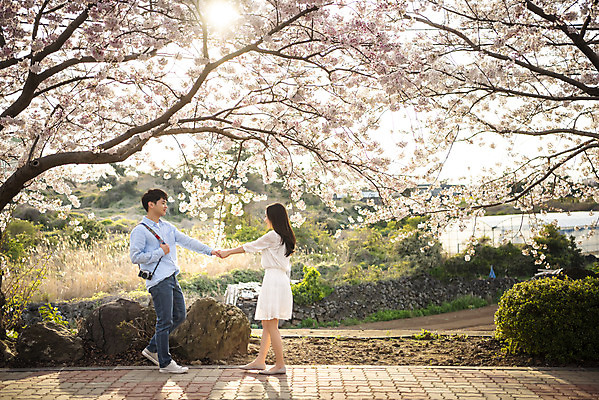 포토 JPG 주간 전신 커플 여자 남자 행복 커플라이프 여행 데이트 사랑 미소 사람 20대 성인 야외 두명 옆모습 30대 제주도 걷기 손잡기 맑음 다정 봄 한국인 벚꽃 국내여행 벚꽃축제 제주도여행 성인만 국내포토 자연요소 라이프스타일 계절 꽃 감정 뷰포인트 컨셉 관계 모션 날씨 한국 표정 동양인 청년 장년 축제 꽃축제 파일형식