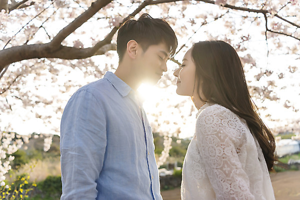 포토 JPG 주간 커플 여자 남자 행복 커플라이프 여행 데이트 키스 사랑 서기 미소 사람 상반신 20대 성인 야외 두명 옆모습 30대 햇빛 제주도 눈감음 맑음 다정 봄 한국인 벚꽃 국내여행 벚꽃축제 제주도여행 성인만 국내포토 자연요소 라이프스타일 계절 꽃 감정 뷰포인트 컨셉 관계 모션 날씨 한국 표정 동양인 청년 장년 태양 축제 애정표현 꽃축제 파일형식
