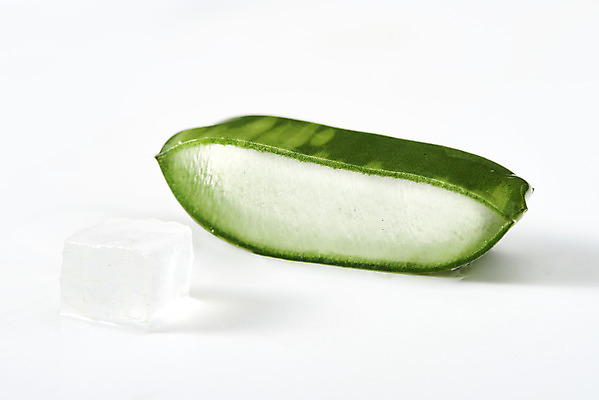 포토 JPG 스튜디오촬영 단면 실내 사람없음 한개 건강관리 화장품 신선 큐브 오브젝트 흰배경 유기농 다육식물 알로에 사포나리아 알로에젤 국내포토 식물 1 웰빙 백그라운드 건강 관리 내부 뷰티 흰색 젤 파일형식