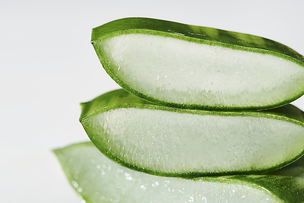 포토 JPG 스튜디오촬영 단면 실내 근접촬영 사람없음 쌓기 건강관리 신선 세개 오브젝트 흰배경 유기농 다육식물 알로에 사포나리아 국내포토 식물 웰빙 뷰포인트 백그라운드 모션 건강 관리 3 내부 흰색 파일형식