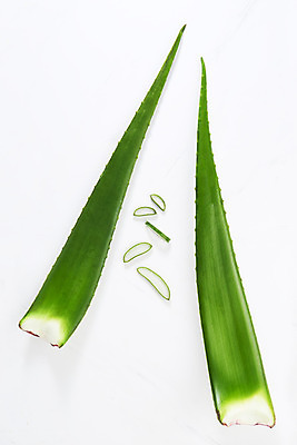 포토 JPG 스튜디오촬영 단면 실내 사람없음 하이앵글 건강관리 여러개 신선 가시 오브젝트 흰배경 유기농 날카로움 다육식물 알로에 플랫레이 사포나리아 국내포토 식물 웰빙 뷰포인트 다수 백그라운드 건강 관리 내부 흰색 플랫 파일형식