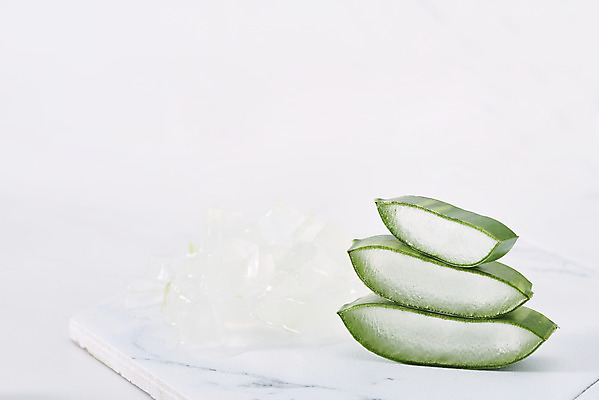 포토 JPG 스튜디오촬영 단면 실내 사람없음 건강관리 화장품 신선 세개 큐브 오브젝트 흰배경 유기농 다육식물 알로에 사포나리아 알로에젤 국내포토 식물 웰빙 백그라운드 건강 관리 3 내부 뷰티 흰색 젤 파일형식