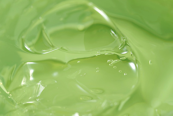 포토 JPG 스튜디오촬영 실내 근접촬영 사람없음 초록색 건강관리 화장품 신선 오브젝트 유기농 다육식물 알로에 알로에젤 국내포토 식물 웰빙 뷰포인트 컬러 건강 관리 내부 뷰티 젤 파일형식