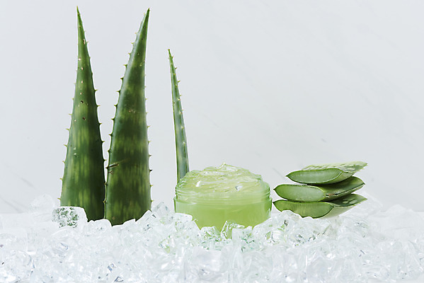 포토 JPG 스튜디오촬영 단면 실내 사람없음 건강관리 얼음 여러개 화장품 신선 가시 차가움 오브젝트 흰배경 유기농 날카로움 다육식물 알로에 사포나리아 알로에젤 국내포토 자연요소 식물 웰빙 다수 백그라운드 건강 관리 내부 뷰티 흰색 젤 파일형식
