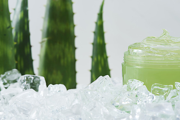 포토 JPG 스튜디오촬영 실내 사람없음 건강관리 얼음 여러개 화장품 신선 가시 차가움 오브젝트 흰배경 유기농 날카로움 다육식물 알로에 사포나리아 알로에젤 국내포토 자연요소 식물 웰빙 다수 백그라운드 건강 관리 내부 뷰티 흰색 젤 파일형식