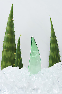 포토 JPG 스튜디오촬영 실내 사람없음 건강관리 얼음 여러개 화장품 신선 가시 차가움 오브젝트 흰배경 유기농 날카로움 다육식물 알로에 사포나리아 알로에젤 국내포토 자연요소 식물 웰빙 다수 백그라운드 건강 관리 내부 뷰티 흰색 젤 파일형식